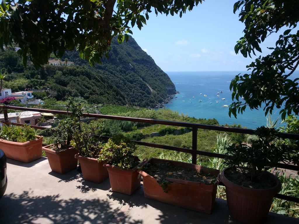 Residence Giardino Del Sole Forio  Bagian luar foto