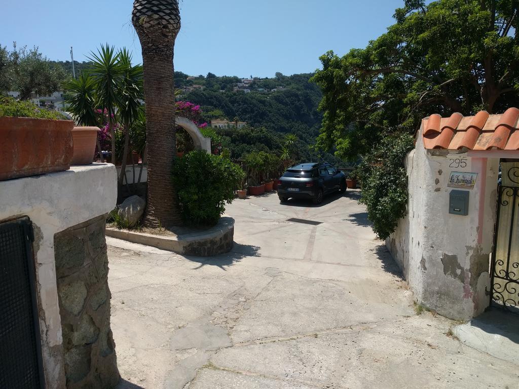 Residence Giardino Del Sole Forio  Bagian luar foto