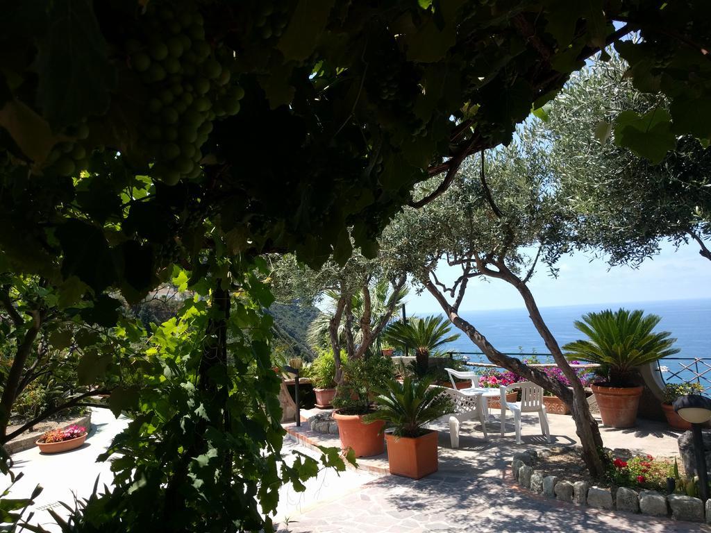 Residence Giardino Del Sole Forio  Bagian luar foto
