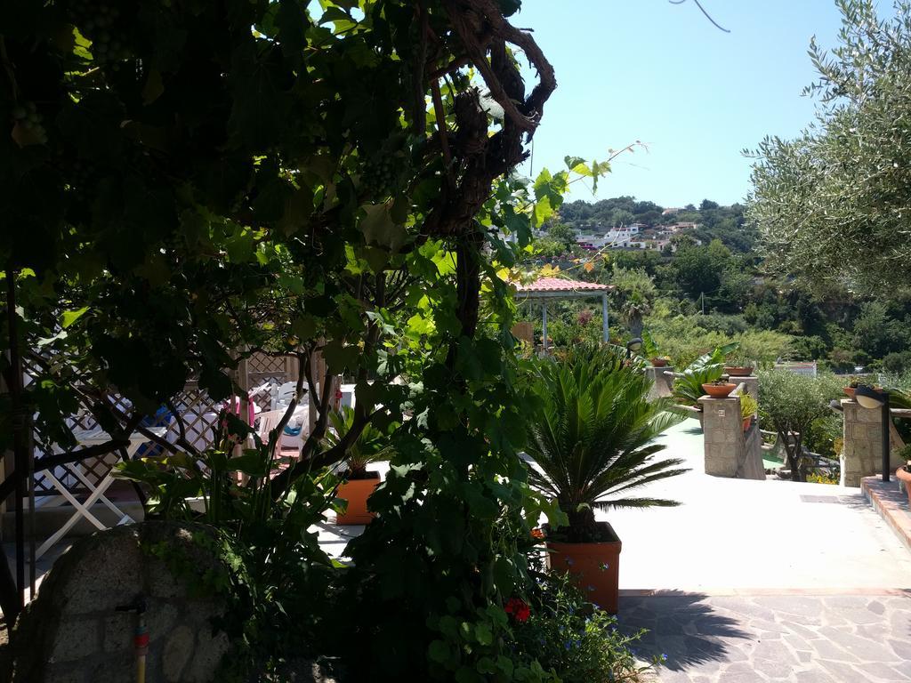 Residence Giardino Del Sole Forio  Bagian luar foto